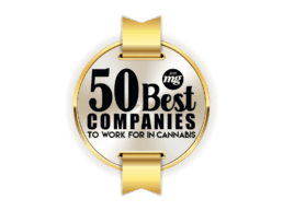 50 best cannabis cpg workplace