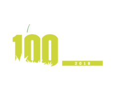 top 100 cannabis cpg workplace